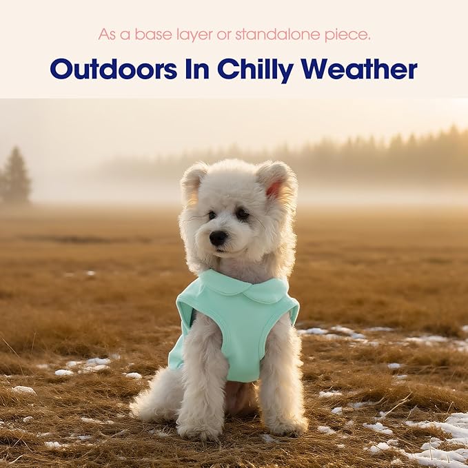 FUAMEY Dog Fleece Vest for Small Dogs,Warm Stretchy Dog Sweatshirts Pullover with Leash Hole Dogs Sweater Soft Pet Turtleneck Cozy Pet Vest Lightweight Sleeveless Blue XXS