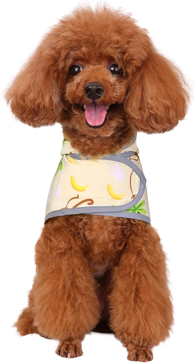 Dog Raincoat for Small Dogs Puppies Waterproof Hooded Rain Jacket with Reflective Strips Leash Hole & Poncho Adjustable Fit (Monkey,XS)