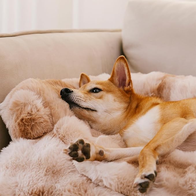 FUNNY FUZZY Pet Fluffy Fuzzy Couch Cover, Calming Washable Dog Bed Sofa Protector Pets Mat for Small Dogs and Cats (Tie-dye Brown,27.56 × 24.02 × 5.51 in)