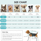 Queenmore Dog Winter Coat, Fleece Puffer Dog Down Vest, Cold Weather Pet Jacket for Dogs, Waterproof Reflective Reversible Dog Sweater Clothes for Small, Medium and Large Dogs (Light Blue, M)