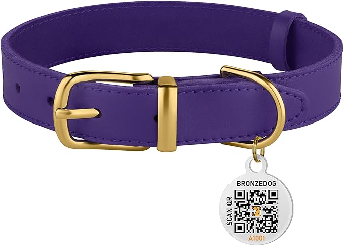 BRONZEDOG Leather Dog Collar with Metal Buckle Durable Basic Pet Collars for Small Medium Large Dogs (11-13 Inch (Pack of 1), Purple & Gold Buckle)