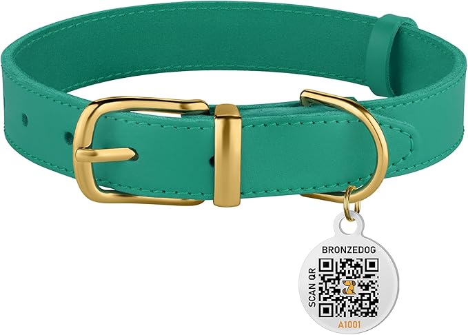 BRONZEDOG Leather Dog Collar with Metal Buckle Durable Basic Pet Collars for Small Medium Large Dogs (13-16 Inch (Pack of 1), Green & Gold Buckle)