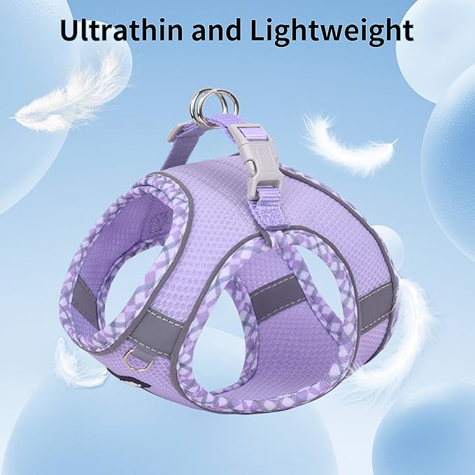 AIITLE Teacup Puppy Harness with Leash - Adjustable Soft Vest with Magic Tape & Reflective Safety Strips, Easy-Put-On for Poodles, Pomeranians - Gym, Hiking, Travel (Purple, S)