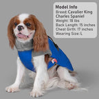 KYEESE Waterproof Dog Coat, Windproof Warm Winter Jacket with Thick Fleece Lined, Turtleneck Dog Coats for Small Dogs with Leash Hole, Reflective Outdoor Cold Weather Coat, Blue, Medium