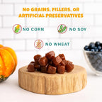 PETIPET Plant-Based Pumpkin Dog Treats - Pumpkin, Carrot, Apple, and Blueberry Soft & Chewy - Vegetarian, Vegan Dog Treats with Organic Ingredients - Low-Protein, Hypoallergenic, Gluten-Free