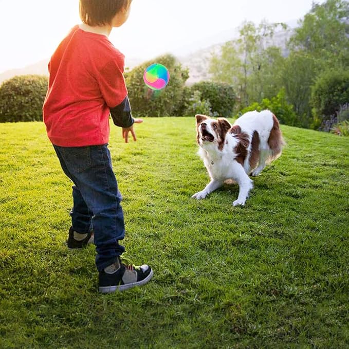 FineInno 4 pcs Large Light Up Dog Balls Flashing Elastic Ball Glow in The Dark Interactive Pet Toys for for Golden Retriever,Labrador,Large Dogs