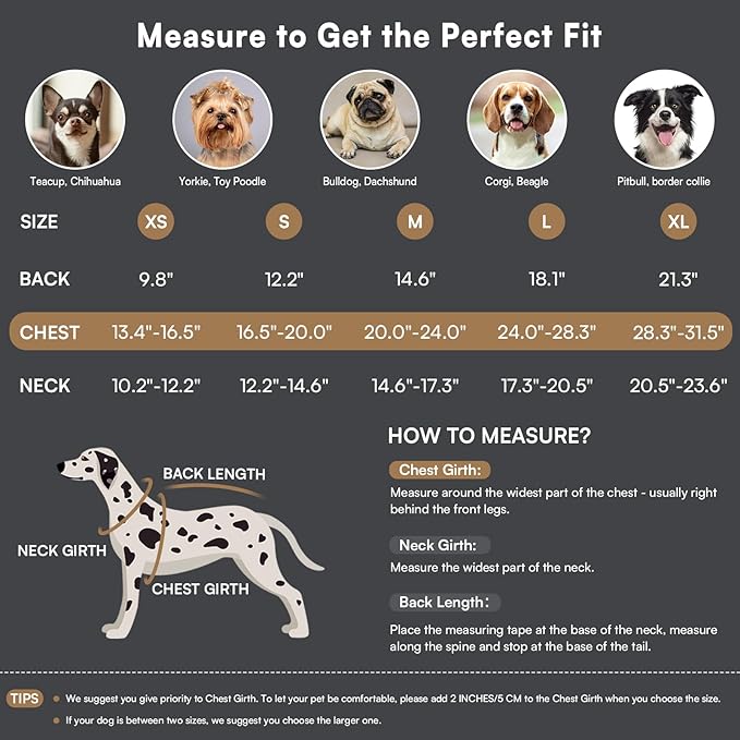 Queenmore Dog Winter Coat Warm Dog Jacket for Cold Weather, Quilting Puffer Plaid Coats for Small/Medium Dogs Waterproof,Girl/Boy Pet Christmas Coat,Pet Snowsuit with Leash Hole/Fleece Padding, XL