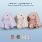Best Pet Supplies Interactive Squeaky Dog Chew Toy, Ideal Dog Toys for Chewers, Small, Medium & Large Dogs, and Fetch Lovers - Bunny (Mauve), Small