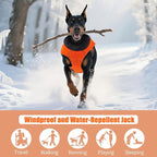 DENTRUN Medium Dog Winter Jacket - Warm Reflective Windproof Coat, Adjustable Neck & Snap Closure, Water Repellent Thick Fleece Vest, Fleece Lined for Beagle Pug, Orange, M