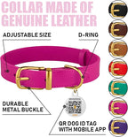 BRONZEDOG Leather Dog Collar with Metal Buckle Durable Basic Pet Collars for Small Medium Large Dogs (19-21 Inch (Pack of 1), Pink & Gold Buckle)