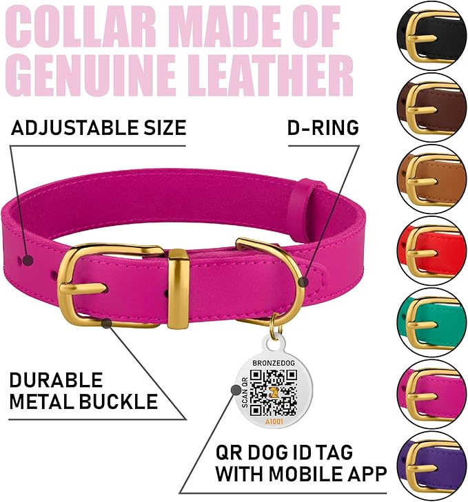 BRONZEDOG Leather Dog Collar with Metal Buckle Durable Basic Pet Collars for Small Medium Large Dogs (19-21 Inch (Pack of 1), Pink & Gold Buckle)