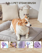 Dog Steam Brush 5 in 1 Cat Brush with Steam and Release Button Grooming Tool for Indoor Pets Dogs Hair Removal Shedding Water for Small Animals Long Short Haired(PURPLE)