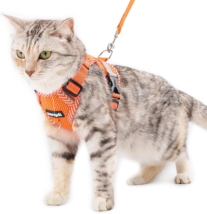 Cat Harness and Leash Escape Proof Extra Large Kitten Harness Maine Coon Cat Vest for Walking Travel, Orange, XL