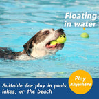 Squeaky Tennis Balls for Dogs - 12 Pack 2.5'' Durable Non-Toxic Outdoor Dog Toys Balls with Mesh Bag, SGS Certified, Colorful Fetch Toys, Medium Large Breeds