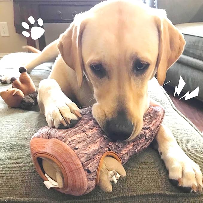IFOYO Squirrel Hide and Seek Dog Toy, Squeaky Interactive Dog Toys for Boredom, Plush Dogs Toys to Keep Them Busy, Relive Anxiety, Attract Attention, Puzzle Toy for Smal and Medium Dogs