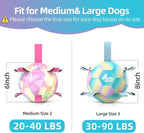 QDAN Dog Balls: Dog Soccer Ball with Straps, Herding Ball for Dogs, Outdoor Toys Interactive Toys for Large Dogs, Pet Birthday Gifts,Gradient Blue (8 Inch)