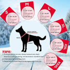 EMUST Dog Winter Coat, Thick Windproof Dog Jacket, Pet Winter Vest for Small/Medium/Large Dogs, Red, XXL