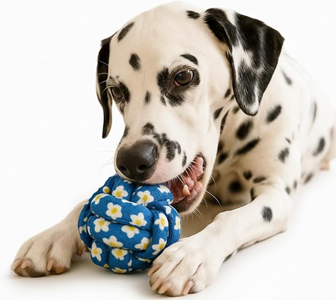 My Pet & Me – Durable Rope Dog Toy for Chewing, Tug of War, and Interactive Play – Perfect for Puppies and Active Dogs (2.7 Inch, Knotted Ball Dog Rope Toy)