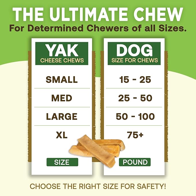 EcoKind Premium Gold Yak Cheese Himalayan Dog Chews, Healthy Dog Treats for Small Dogs, High Protein, All Natural, Long-Lasting Chew, Small - 16 Chews
