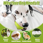 20 Pack Bulk Tennis Balls for Dogs, 2.5 Inch Mini Tennis Balls for Pet Playing Fecth, Yellow Interactive Easy Catching Dog Playing Ball for Small Size Dogs Puppy Pet Playings Exercise and Practice
