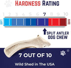 Devil Dog Pet Co. Split Elk Antlers for Dogs, Small 4"+, 2 Pack, Grade A Long Lasting Chew for Aggressive Chewers, Premium USA Naturally Shed Antler – Healthy, No Odor, Durable Dog Chew