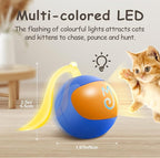Migipaws Interactive Cat Ball Toy Set, Fun Tracker, Automatic Rolling Chase Ball with Fluffy Tail, A Small Mice, Rechargeable (Blue)