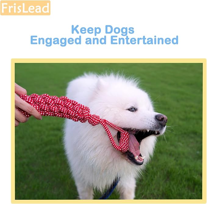 2-in-1 Dog Tug of War Rope and Frisbee, Dog Toy,Tough Rope Toy, Flying Disc, Tug Toy for Outdoor and Indoor Play (Lilac)