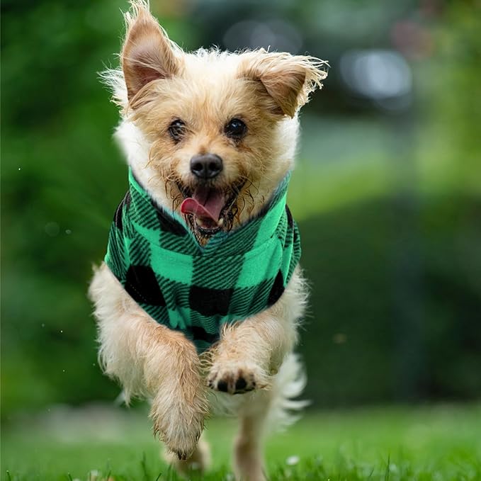 Kama Bridal Dog Spring Autumn Winter Coat Pullover Fleece Vest for Cats & Dogs - Thin Sweater, Green & Black Plaid (Green, M)