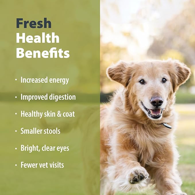 JustFoodForDogs Pantry Fresh Wet Dog Food Variety Pack, Complete Meal or Dog Food Topper, Beef, Chicken, & Turkey Human Grade Dog Food Recipes - 12.5 oz (Pack of 6)