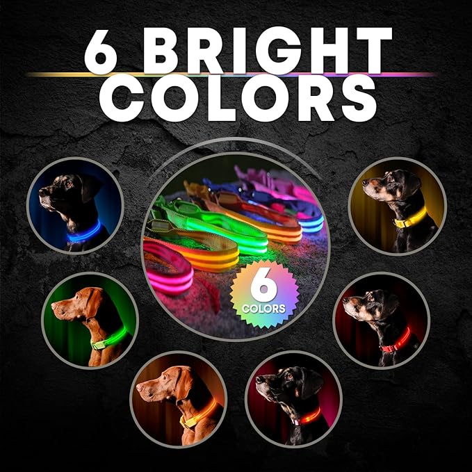 ILLUMISEEN LED Dog Collar USB Rechargeable - Bright & High Visibility Lighted Glow Collar for Pet Night Walking - Weatherproof, in 6 Colors & 6 Sizes (Red Small)