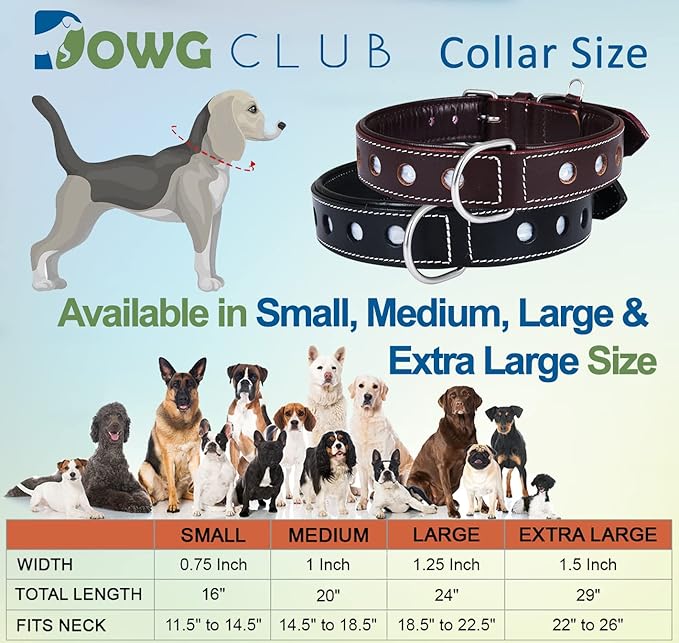 | Genuine Leather Dog Collar | Full Grain, Heavy Duty | Comfortable, Padded, Strong | Best for Pups, Small, Medium, Large & XL Breeds (Large (Fit Neck Size 18.5"-22.5"), Raven)