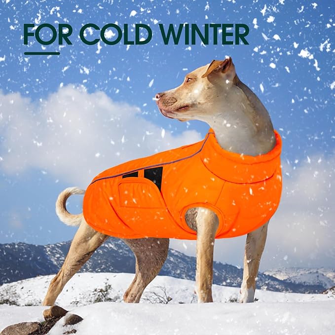 Kuoser Dog Jacket, Dog Coats for Large Dogs Winter Waterproof, Reflective Doggie Vest with Leash Hole, Cold Weather Coats Pet Snow Jacket for Labrador Beagle, Orange XL