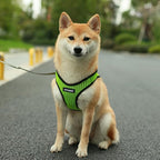 Best Pet Supplies Voyager Step-in Air Harness - All Weather Mesh, Reflective, No Pull Harness for Dogs, Cats - Secure with Hook & Loop Fastener, Buckle, Double D-Rings - Tone, L