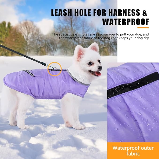 iBuddy Dog Winter Coats with Fleece Vest,Waterproof Warm Dog Snow Jacket Windproof, Reflective Adjustable Pet Dogs Cold Winter Coat for Small Dogs Girl Boy