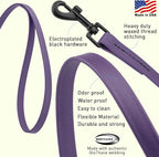 Dogline Biothane Waterproof Dog Leash Strong Coated Nylon Webbing with Black Hardware Odor-Proof Easy to Clean High Performance for Small or Large Dogs Made in USA 2 ft Lead, Violet Purple