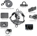 Large Cat Harness and Leash Set for Walking - Escape Proof Adjustable Vest, Reflective Breathable Mesh with 4 Buckles for Big Cats
