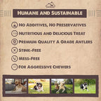 peaksNpaws Premium All-Natural Grade A Split Elk Antlers for Dogs – Naturally Shed in The Rocky Mountains – No Additives, No Preservatives - Healthy and Delicious Treat - Made in USA - M/L Split