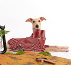 Dog Sweaters for Small Dogs Girls Boys, Striped Pet Sweaters for Fall Winter Dog Clothes, Turtleneck Pullover Knitwear for Small Medium Large Dogs