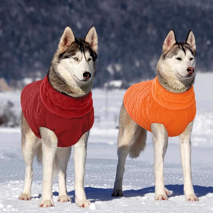 Kuoser Medium Dog Coat | All-Breed Thermal Wear with Windproof Layer | Reflective Tabs Enhance Visibility in Snow, Snap Buckles Simplify Dressing, Orange M
