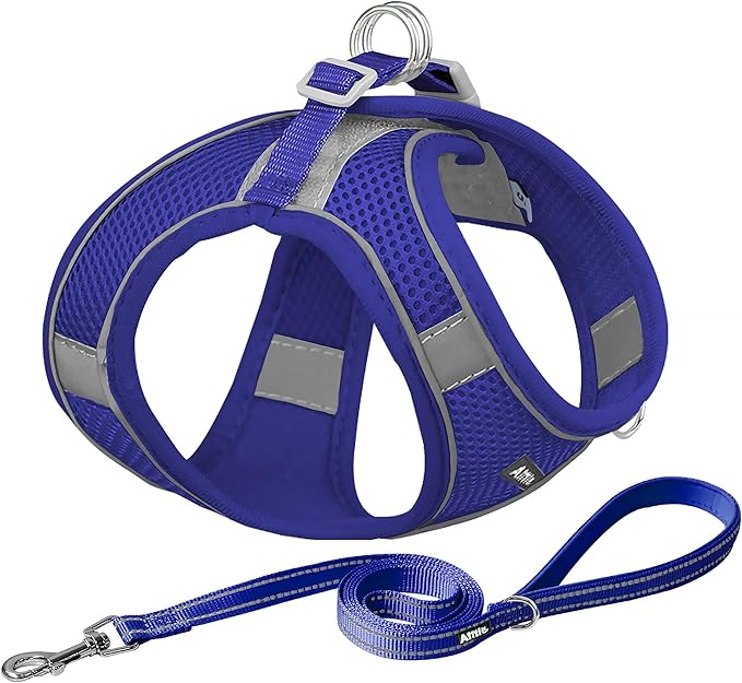 AIITLE Comfortable Dog Harness and Leash Set for Walking - Summer Step in Vest Harness,Reflective Bands, Adjustable No Pull Puppy Essentials, for Small Dogs and House Cats Royal Blue XS