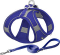 AIITLE Escape Proof Dog Harness - Step in Adjustable Dog Harness No Choke Over with Breathable Mesh and Quick-Release Buckle for Summer- Outdoor Walking, Camping for Medium Dogs Royal Blue XL