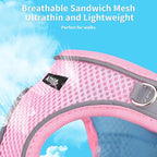 AIITLE Comfortable Dog Harness and Leash Set for Walking - Summer Step in Vest Harness,Reflective Bands, Adjustable No Pull Puppy Essentials, for Small Dogs and House Cats Pink XS