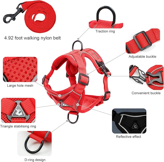Large Cat Harness and Leash Set for Walking - Escape Proof Adjustable Vest, Reflective Breathable Mesh with 4 Buckles for Big Cats