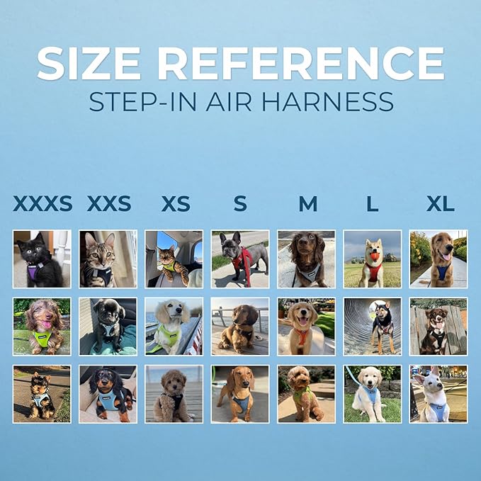 Best Pet Supplies Voyager Step-in Air Harness - All Weather Mesh, Reflective, No Pull Harness for Dogs, Cats - Secure with Hook & Loop Fastener, Buckle, Double D-Rings - Lavender, L
