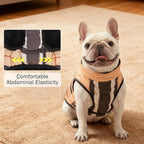 SCENEREAL Winter Dog Vest Coat with Harness Built in, Warm Puppy Jacket for Small Medium Dogs, Cold Weather Coat with Zipper, Fleece Puffer Vest Windproof Snow Clothes, Beige Plaid M