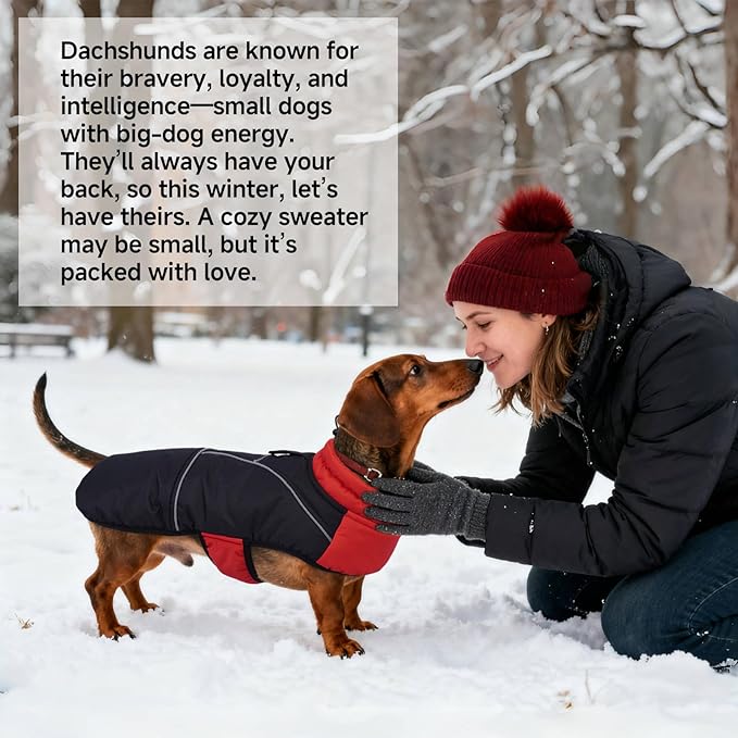 DORA BRIDAL Dachshund Coat, Fleece Lined Dog Winter Coat, Warm Dog Coats with Reflective Strips, Adjustable Waterproof Pet Jacket Clothes, M