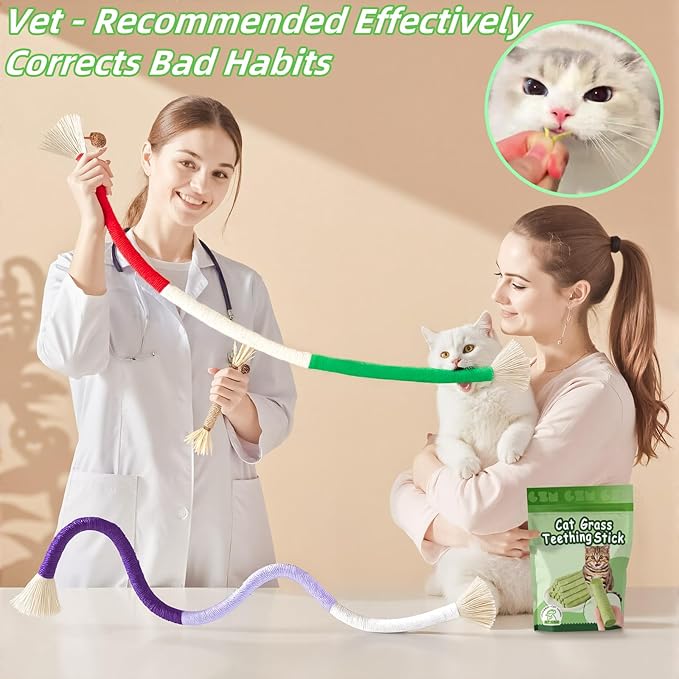Cat Toys 12Pack Cats Grass Treat Catnip Toy with Silvervine for Indoor Kitten Toys Wood Kitty Chew Rope Grass Sticks for Teeth Cleaning Kitten Snack for Catnip Dental Care Self Play