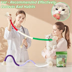 Cat Toys 24Pack Cat Grass Treat Catnip Toy with Silvervine for Indoor Kitten Toys Wood Cat Chew Rope Kitten Grass Stick for Teeth Cleaning Cat Snack for Kitty Cat Nip Dental Care Cat Self Play