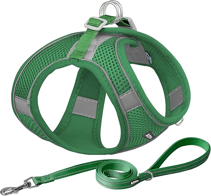 AIITLE Escape Proof Dog Harness - Step in Adjustable Dog Harness No Choke Over with Breathable Mesh and Quick-Release Buckle for Summer- Outdoor Walking, Camping, Training for Medium Dogs Green XL