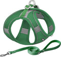 AIITLE Small Harness for Puppy with A Leash - Summer Dog Vest Harness with Super Breathable Mesh, Reflective No-Pull Pet Harness for Outdoor Walking, Camping for Small Dogs, Cats Green XXS